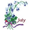 July Larkspur