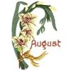 August Gladiolus