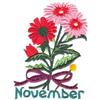 November Chrysanthemum