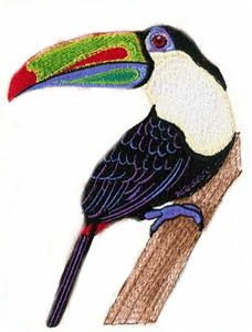 Tucan without Background
