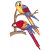 Two Parrots, larger