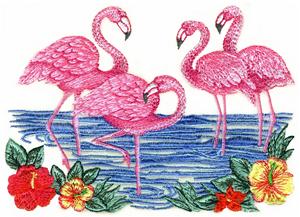Flamingos Scene