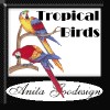 Tropical Birds Design Pack