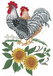 Rooster and Hen Scene