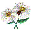 Daisies and Ladybug