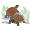 Two Turtles on Rocks, Small