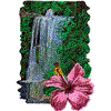 Waterfall with Hibiscus Flower
