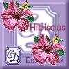 Hibiscus Mini-Pack 1