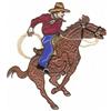 Cowboy on Horse