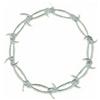 Barbed Wire Circle