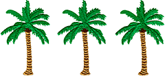 Palm Tree Border