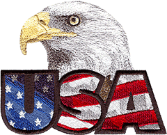 Eagle with USA