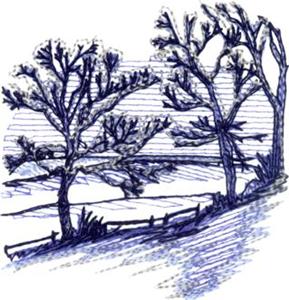 Winter Trees and Farm