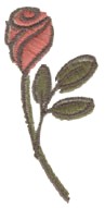 Rose small