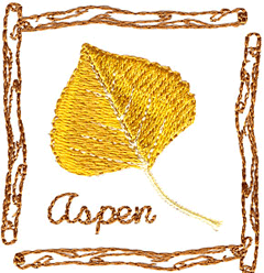 Aspen Square