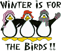 "Winter is for the Birds!" Penguins