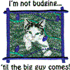 "I'm Not Budging" Cat