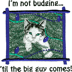 "I'm Not Budging" Cat