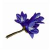 Blue Lilac