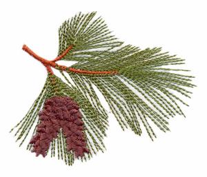 Ontario Provincial Tree - Eastern White Pine