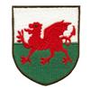 Wales Coat of Arms ( Large )