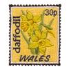 Wales Stamp ( Daffodil )