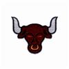 Bulls Mascot