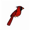 Cardinals Mascot