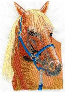 Sandy Horse