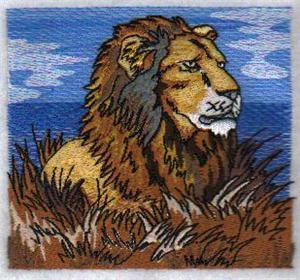 Lion - head sitting in grass