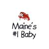 Maine's Baby Phrase