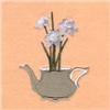 Teapot Narcissus