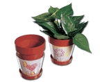 Planters Flower Pot