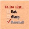 Baseball To Do List