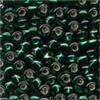 Mill Hill Glass Pony Beads, Size 6/0 / 16614 Brilliant Green