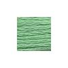 DMC 6 Strand Cotton Embroidery Floss / 913 MD Nile Green