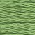 DMC 6 Strand Cotton Embroidery Floss / Forest Green