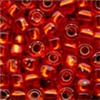 Mill Hill Pebble Beads / 05025 Ruby 