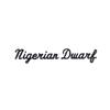 Nigerian Dwarf