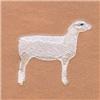Rambouillet Sheep