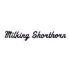 Milking Shorthorn