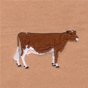 Guernsey Cow