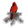 Cardinal on Pine