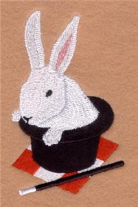 Rabbit in a Hat
