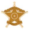 PD Star and Banners Badge