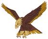 Flying Eagle (Square Hoop)