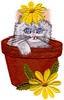 Flowerpot Kitten