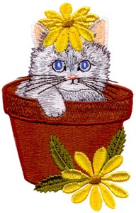 Flowerpot Kitten