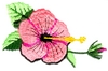 Hibiscus Vine Flower