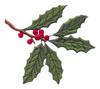 Delaware State Tree - American Holly